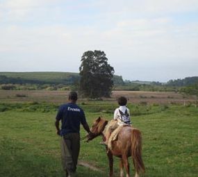 Sítio do Petim photo 8