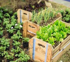 Rodrigo Rodrigues Arquitetura de Exteriores photo 4