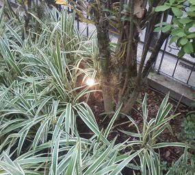 DC-  Instalações Elétricas e Hidráulicas