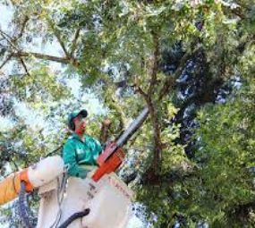 CS Soluções em Energia e Serviços em Rede Elétrica