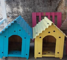 Bicho Miúdo - Pet Shop  photo 5