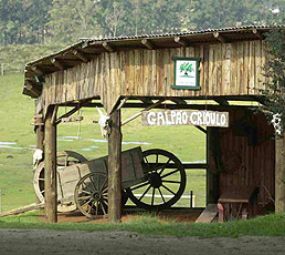 Quinta da Estância photo 3