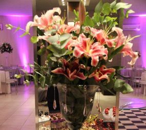 Alles Eventos photo 5