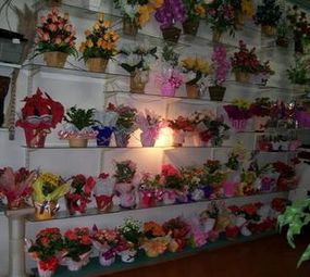 Floricultura Flor do Oriente photo 5