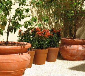 Ponto Verde Paisagismo photo 8