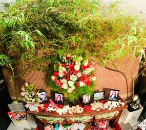 Formatura Freio de Ouro