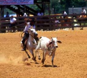 Parque dos Tropeiros photo 3