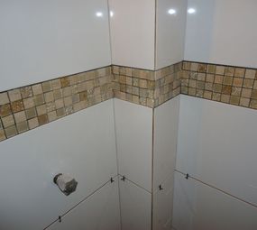 Luciano Azulegista e Reformas em Geral