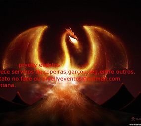 Pryelly Eventos photo 7