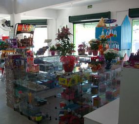 Agropecuária Colina photo 5