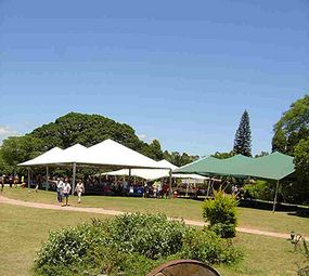 Quinta da Estância photo 4