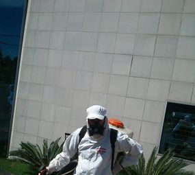 Dedetizadora Mata Tudo