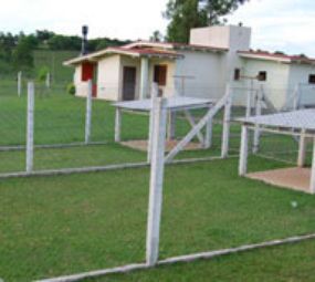 Cachorraria da Praça photo 10