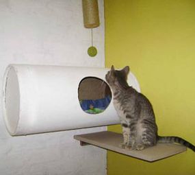 Refúgio Hotel para Cães e Gatos photo 8