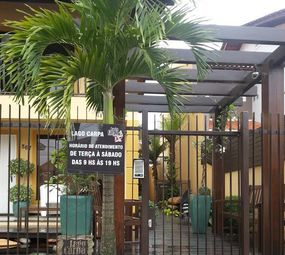 Lago Carpa - Lagos Ornamentais