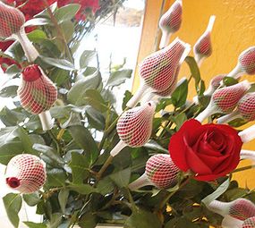 Floricultura Juvevê photo 2