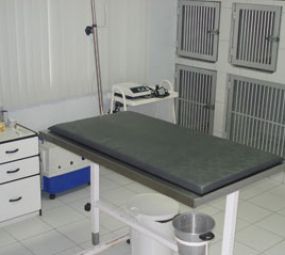 Clínica Veterinária Centro de Medicina Veterinária photo 10