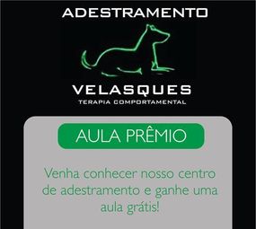 Adestramento Velasques - Terapia Comportamental photo 5