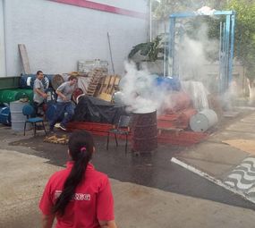 Fireseg - RS photo 3