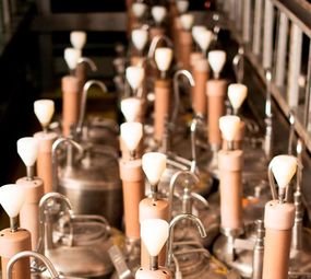 Chopp - Ralf Beer photo 10