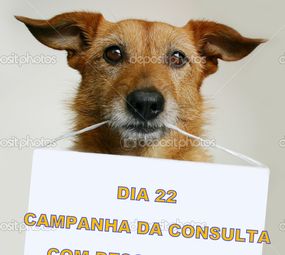Todo o dia 22 de cada mês.