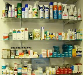 Maison Chien photo 4