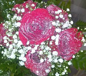 Floricultura Brinco de Princesa