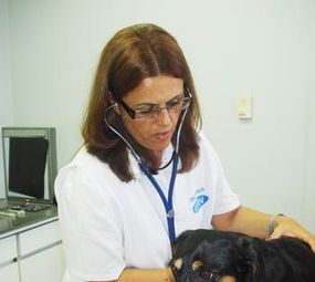 Clínica Veterinária Centro de Medicina Veterinária photo 5