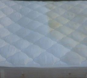 ARB Higienização e Impermeabilização de Estofados