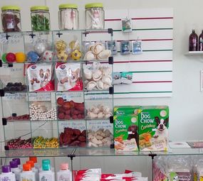 Pet Shop México  photo 3