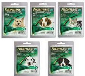 Cantinho do Pet photo 3