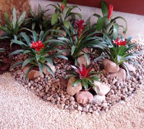 Ponto Verde Paisagismo photo 7