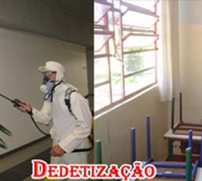 Antinset Dedetizadora e Desentupidora