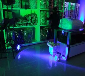 Pré-Eventos Sonorização & Iluminação photo 5