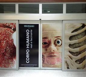 Sigma Grandes Impressões photo 8