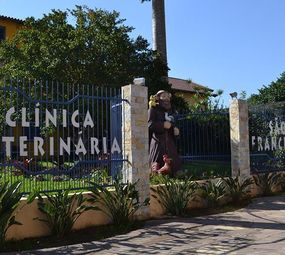 Clínica Veterinária São Francisco