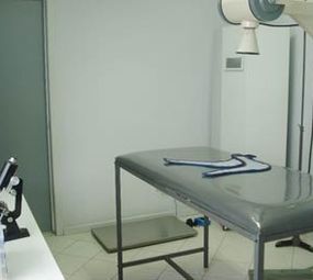 Clínica Veterinária Centro de Medicina Veterinária photo 8