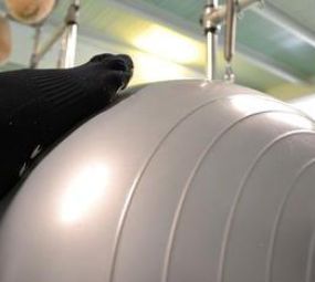 Oficina do Movimento photo 3