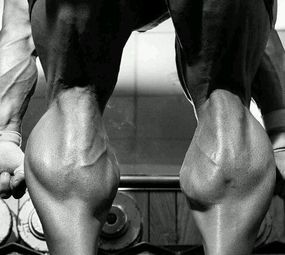 Macaco Suplementos photo 1