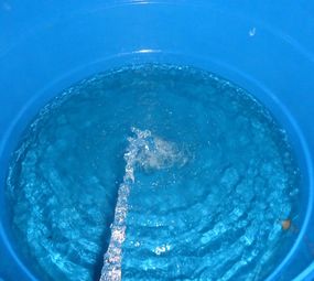 Insetsinos Imunizadora photo 8