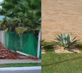 SNA Paisagismo photo 4