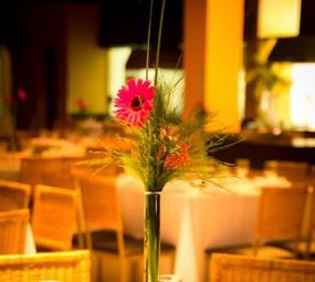 Daniel Festas e Eventos photo 3