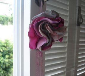 Salamandra Pedraria photo 5