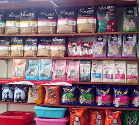 Pet Shop México  photo 6