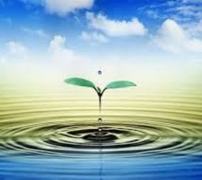 LV Comércio e Representações photo 1