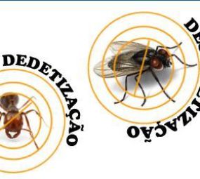 Desentupidora e Dedetizadora RS photo 6