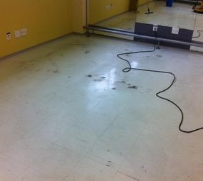 Higgienizare Higienização e Limpeza photo 1