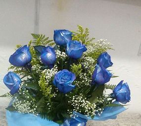 Floricultura Brinco de Princesa