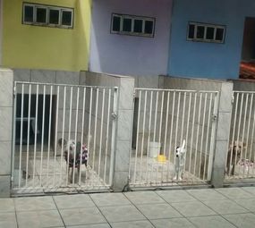 Donato Hotel para Cães