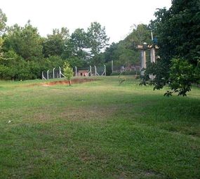  Hotel para Cães  photo 6